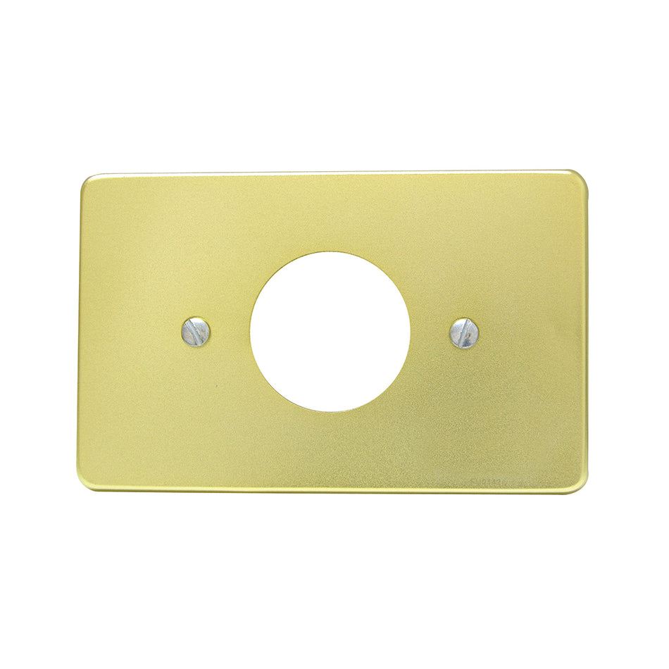 PLACA SENCILLA DE ALUMINIO, LANEA ESTANDAR, COLOR ORO SKU 1366080