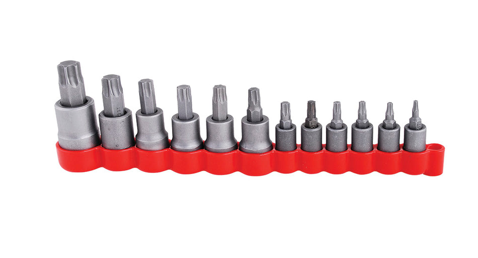 Juego de dados con punta torx cuadro de 1/4", 3/8" y 1/2", 12 piezas SKU 475254T