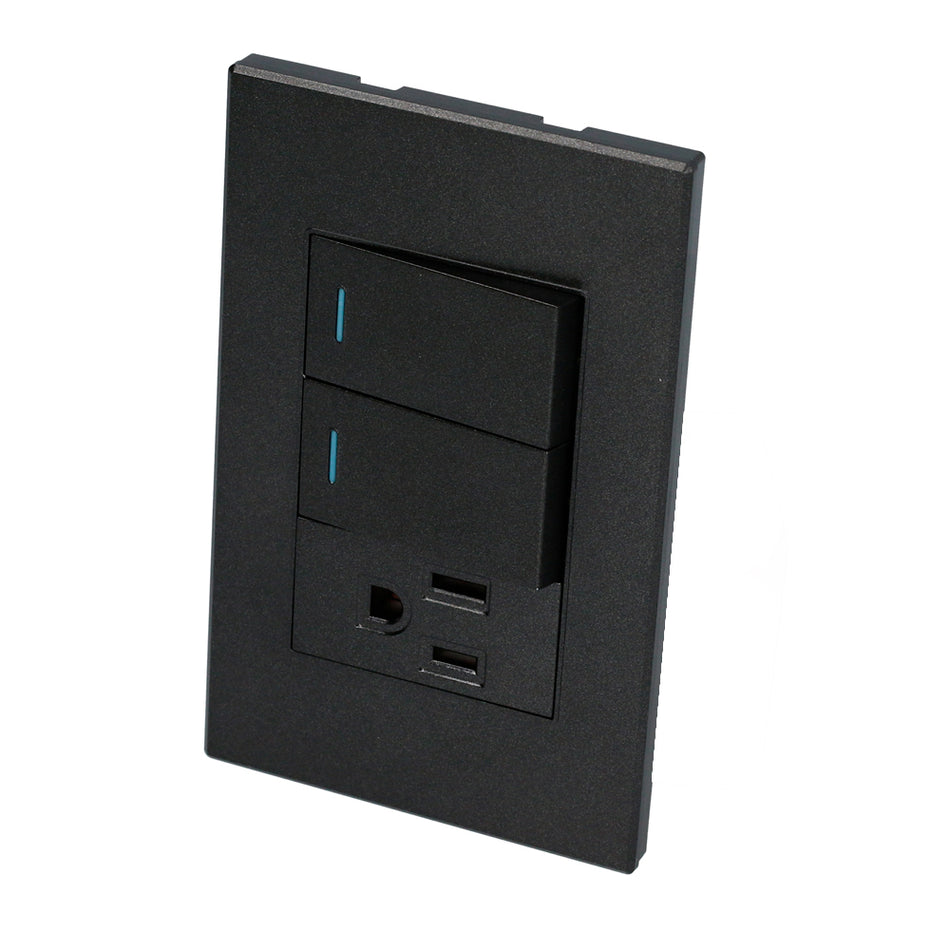 PLACA 2 INTERRUPTOR 1 CONTACTO 1/3, LANEA PREMIUM, COLOR NEGRO SKU P626N0